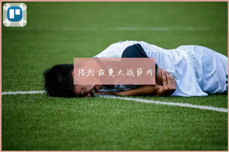 格列兹曼大战萨内