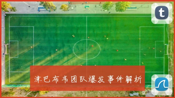 津巴布韦团队爆发事件解析