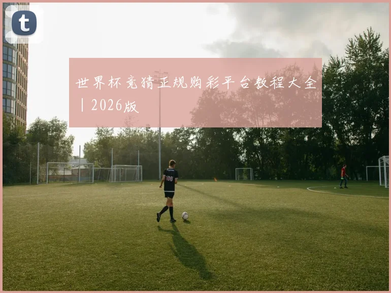 世界杯竞猜正规购彩平台教程大全｜2026版