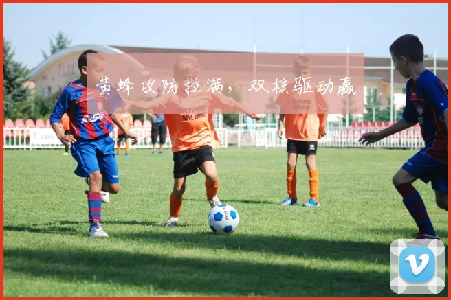 黄蜂攻防拉满，双核驱动赢