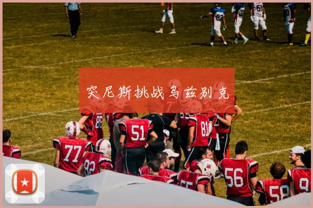 突尼斯挑战乌兹别克