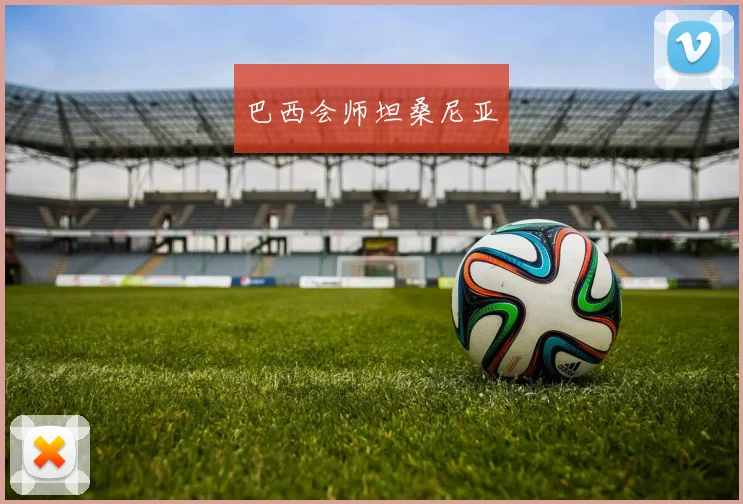 巴西会师坦桑尼亚