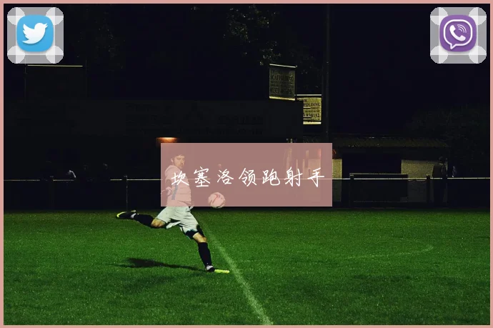 坎塞洛领跑射手
