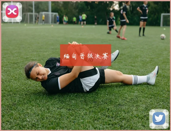 缅甸晋级决赛