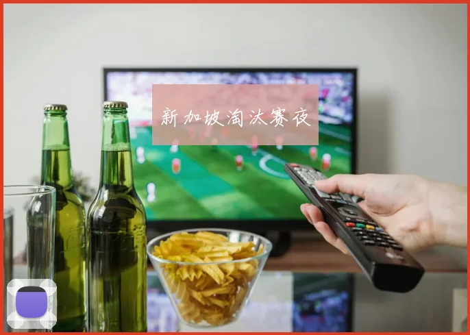 新加坡淘汰赛夜