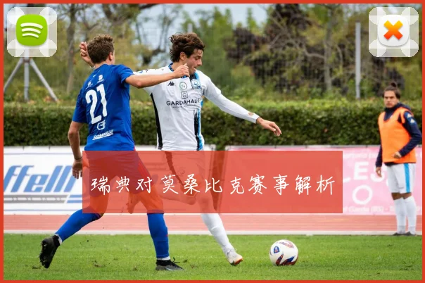 瑞典对莫桑比克赛事解析