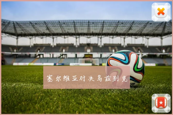 塞尔维亚对决乌兹别克