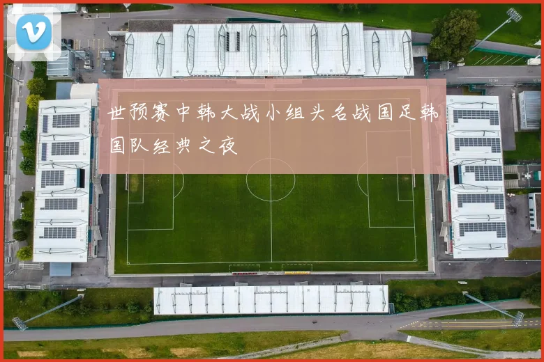 世预赛中韩大战小组头名战国足韩国队经典之夜