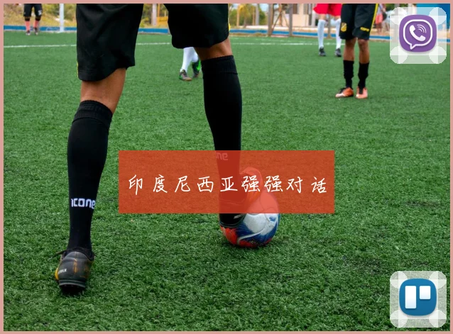 印度尼西亚强强对话
