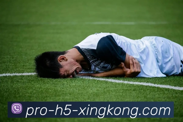 2024年度行业推荐平台