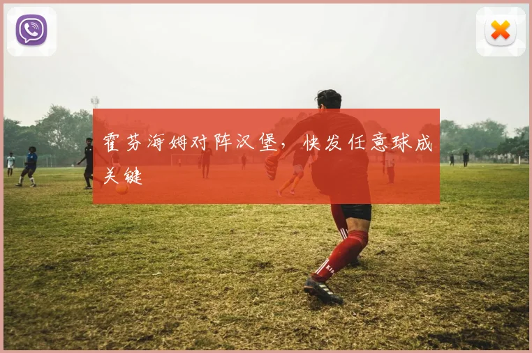 霍芬海姆对阵汉堡,快发任意球成关键
