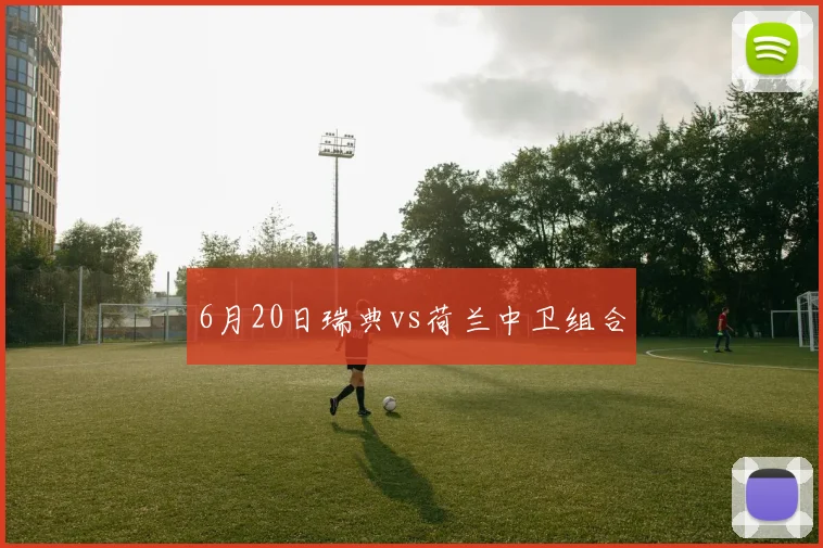 6月20日瑞典vs荷兰中卫组合